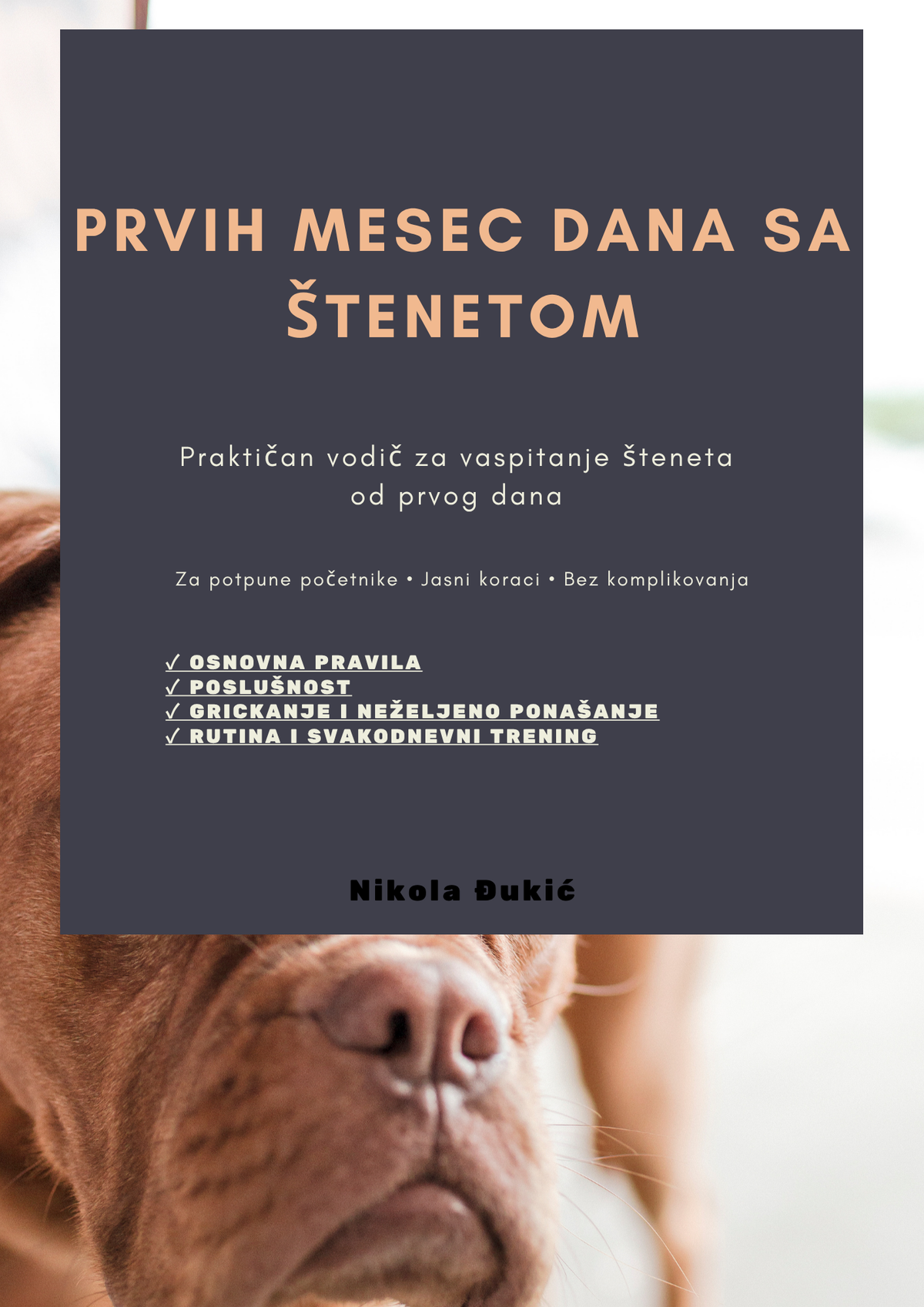 Prvih mesec dana sa Štenetom